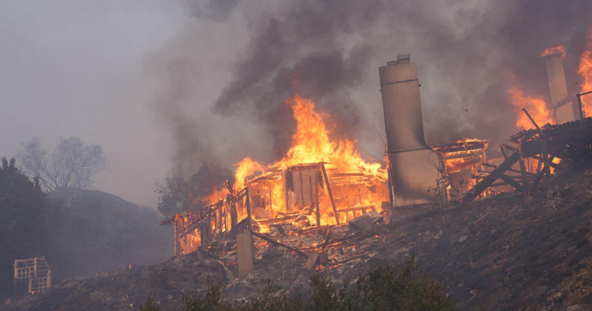 America's Burning Crisis: Understanding and Preventing Wildfires